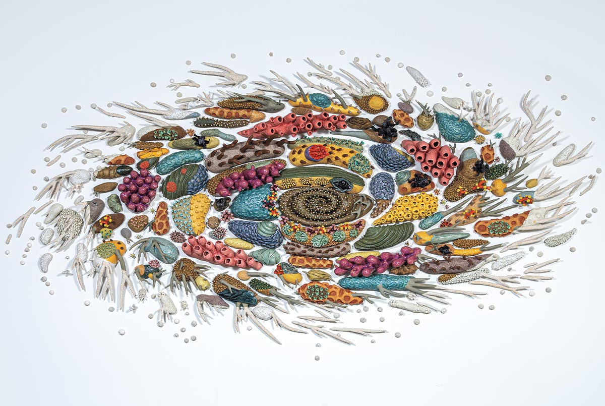 Image of a colorful spiral made from things found in the ocean