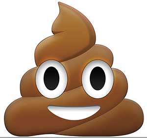 Image of the poop emoji